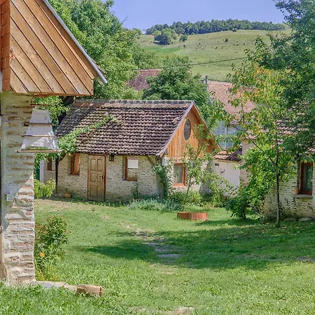 Dominic Boutique, Little Barn , *